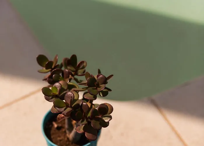 Benvenuti In Puglia Couette-café