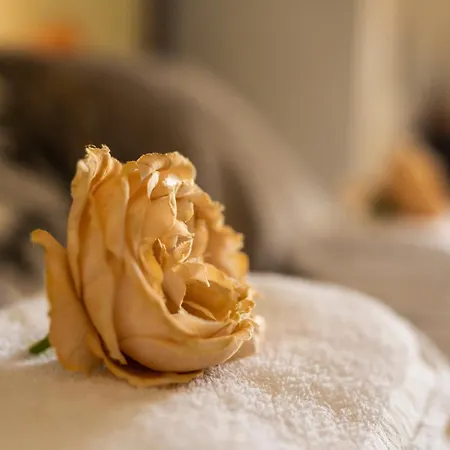 Bed & Breakfast Benvenuti In Puglia