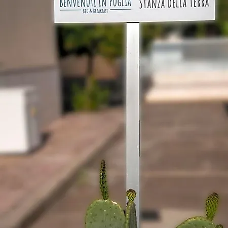 Oda ve Kahvaltı Benvenuti In Puglia Crispiano