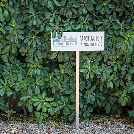 Benvenuti In Puglia