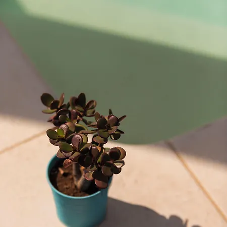 לינה וארוחת בוקר Benvenuti In Puglia 4*